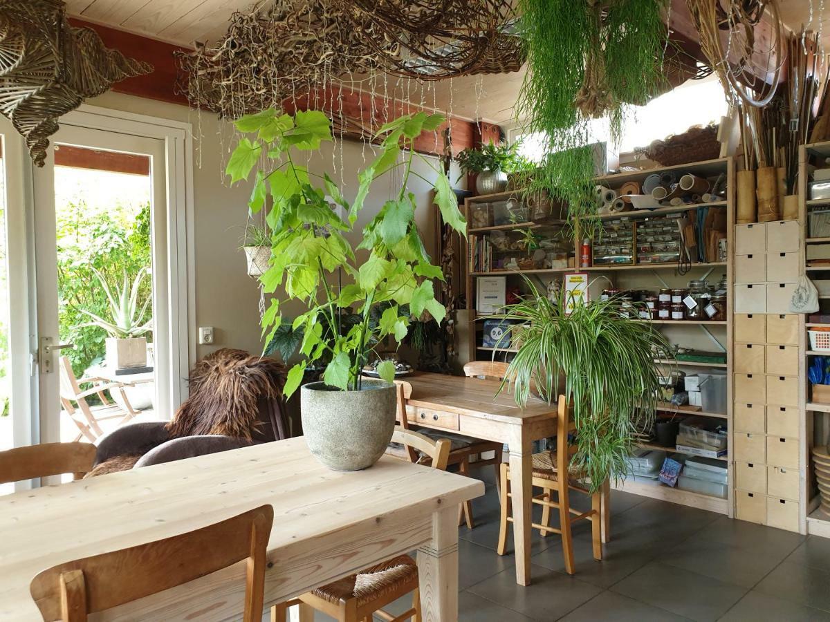 Appartementen Het Oude Atelier Schoorl Exteriér fotografie